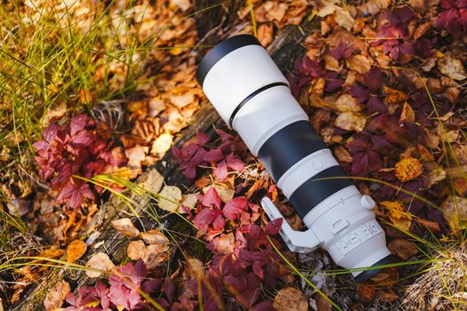 Big gray long-focus lens or telephoto lens lies on log with autumn leaves