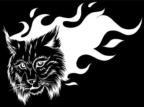 Vector illustration head ferocious lynx silhouette in black background