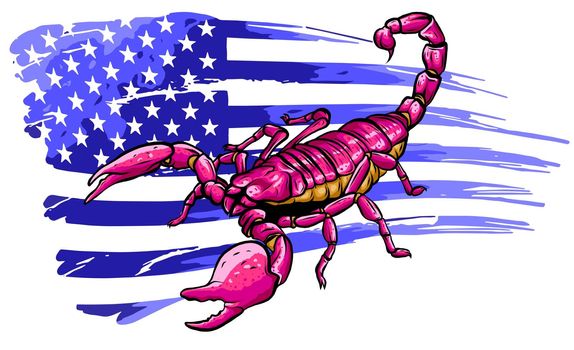 scorpion with american flag. Vector cartoon close-up illustration.