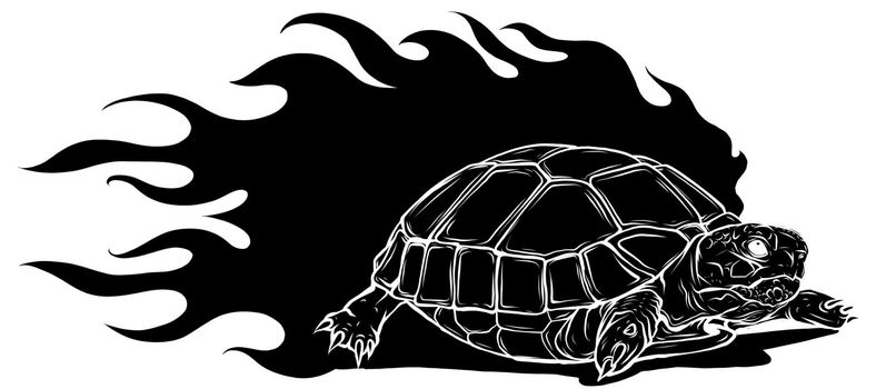 vector Illustration of black silhouette Sulcata land tortoise design