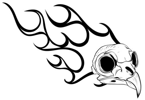 Bird skull engraving vector illustration. Bird bone head skull, occult symbol for witchcraft. vector