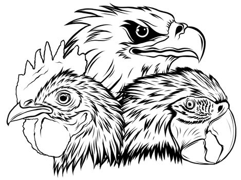 Eagle Mascot Logo Design Vector Template illustration