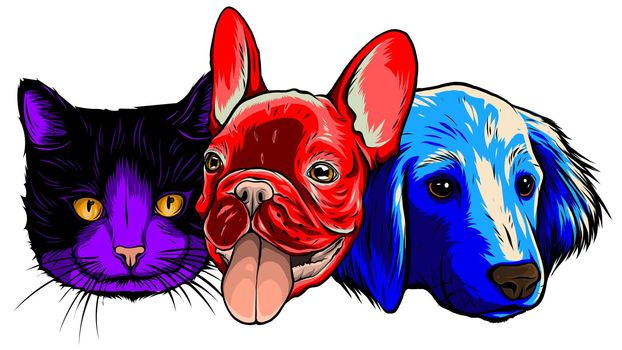 smiling cat and dog vector illustration graphics
