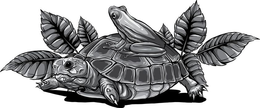 monochromatic Frog and Turtle vector illustration graphics art