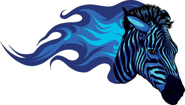 fiery head zebra colored blue vector illustration