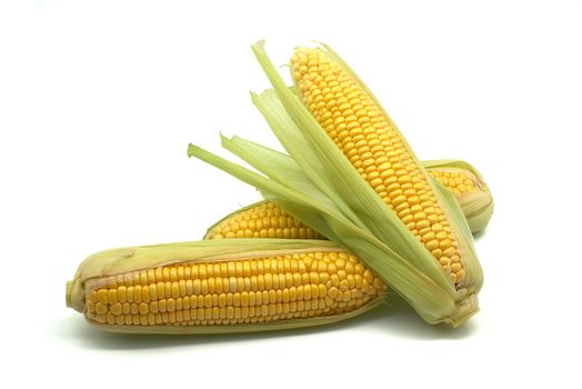 Fresh maize or corn on the cob
