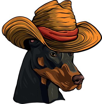 Dobermann dog face with hat vector illustration