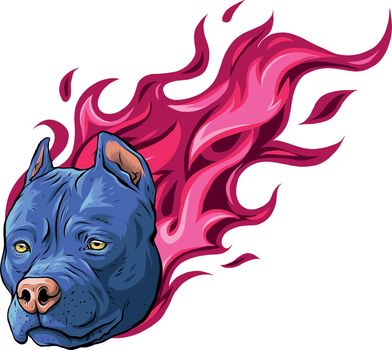 head of dog pitbull with flames vector