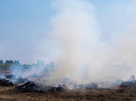 Dense dust and smoke from burning stubble in post-harvest agricultural areas