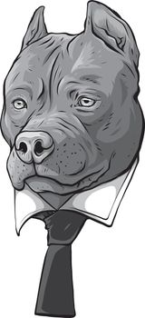 design of pitbull head with necktie vector illustration