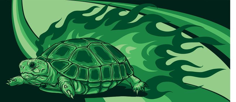 vector turtle with flames on colored background