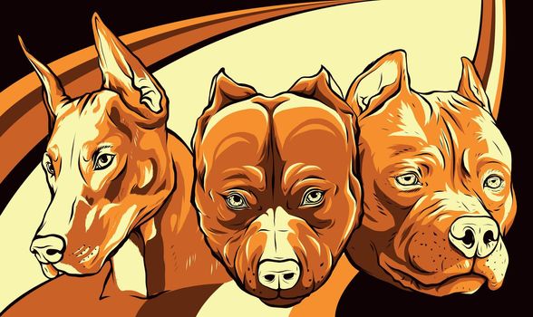 Heads of dogs pitbull dobermann bulldog vector