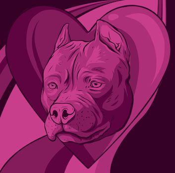 pitbull head dog in heart vector illustration