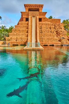 Sharks in pool swimming over slide recreated Mayan temple