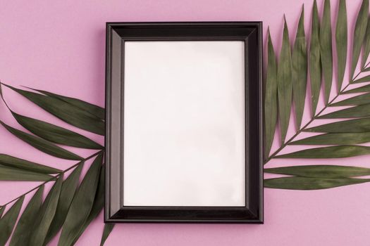 photo frame plant branches. High quality beautiful photo concept