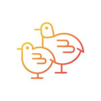Chicks gradient linear vector icon