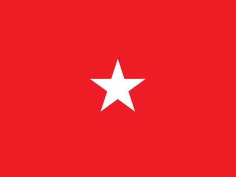 The flag of a USA army Brigadier General of a white star over a red background