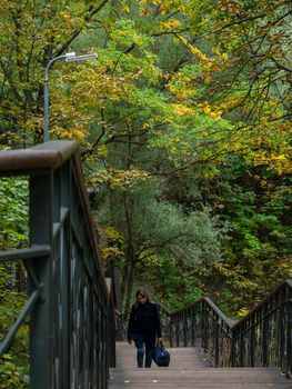 Walk across the bridge over the stream in the forest