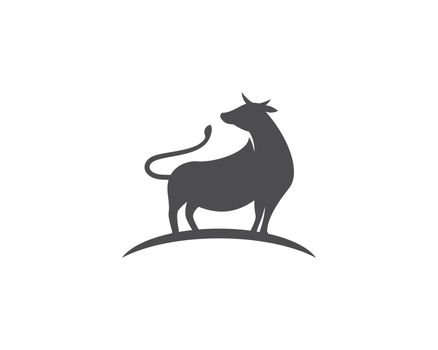 Cow logo vector 