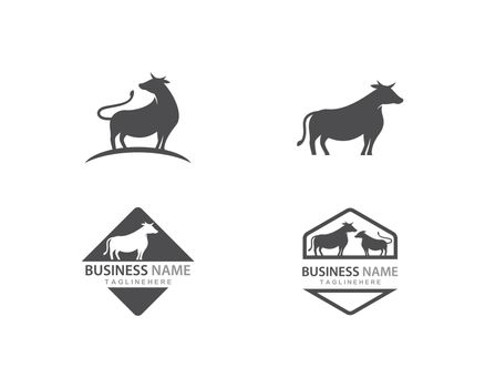 Cow logo vector 