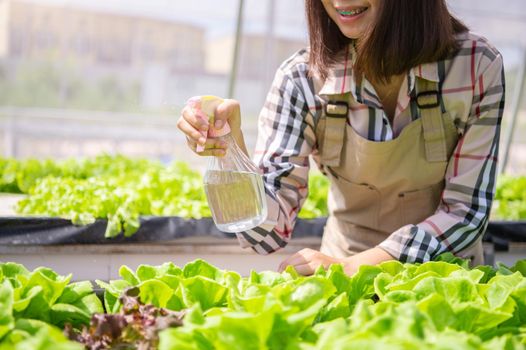 Closeup of foggy water spray bottle in female farmer hand spraying to sprout hydroponics vegetable in greenhouse nursery background. Business agriculture and cultivation farming concept. Organic food