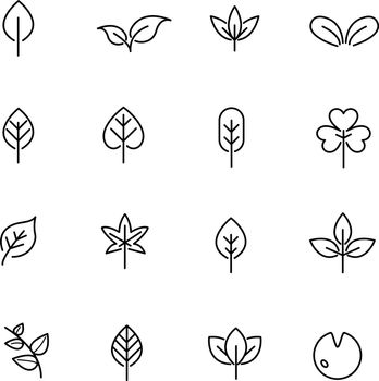 Leaf icon set vector. Nature and symbol concept. Thin line icon theme. White isolated background. Illustration vector.