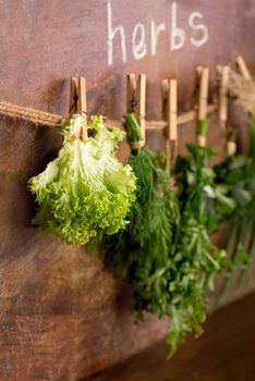 Fresh herbs hanging over wooden background. thyme, basil, oregano parsley.