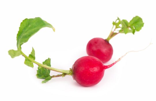 Radis isolated on white background. Fresh radish root bundle, pile of red radishes with green leaves top view