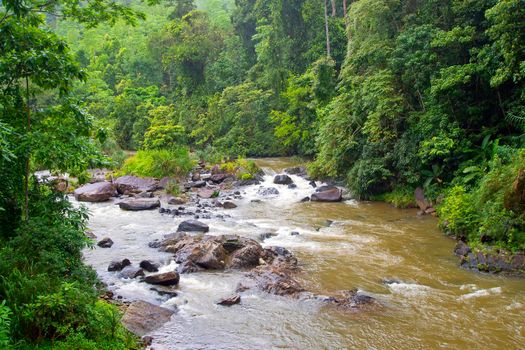 Rainforest River, Sinharaja National Park Rain Forest, Sri Lanka