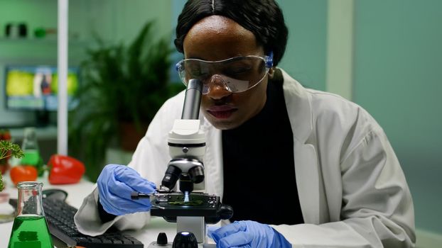 African researcher taking green leaf sample from petri dish putting under microscope