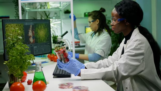 Pharmaceutical scientist looking at strawberry injecting with pesticides