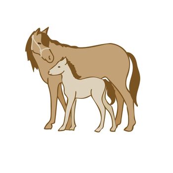 horse with foal