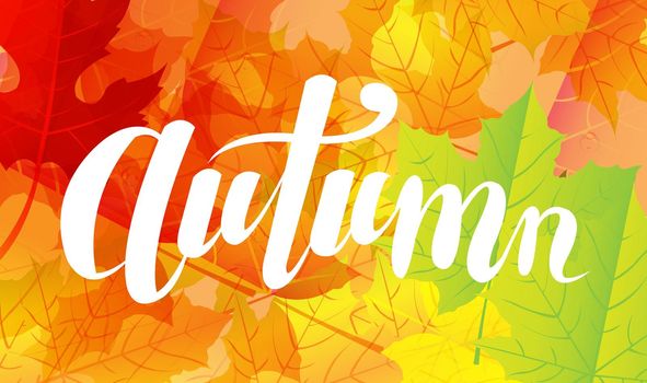 Autumn Lettering Text With Leaves