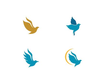 Bird Dove Logo Vector 