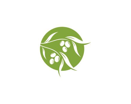 olive logo template 