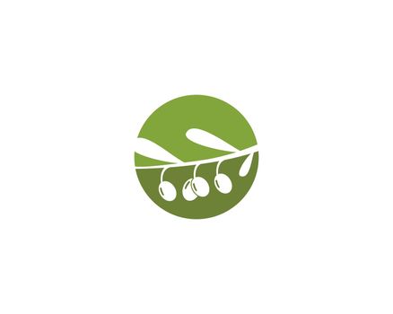 olive logo template 