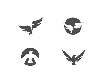  Eagle Bird Logo Template