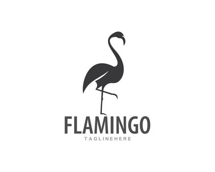 Flamingo logo ilustration vector 