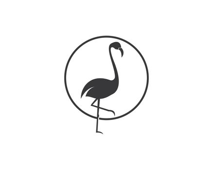 Flamingo logo ilustration vector 