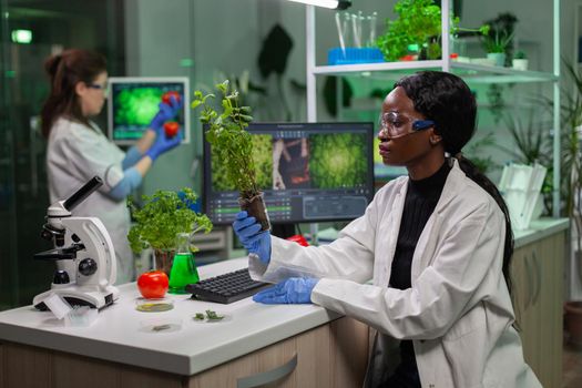 Scientist looking at green sapling for medical experiment