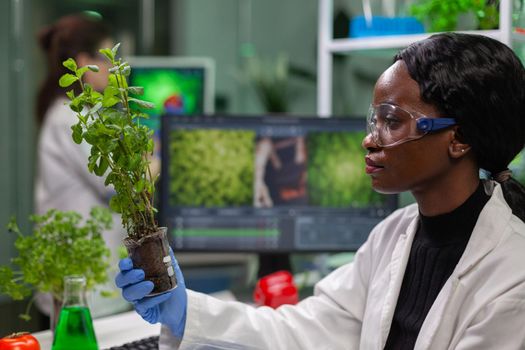 Scientist looking at green sapling for medical experiment