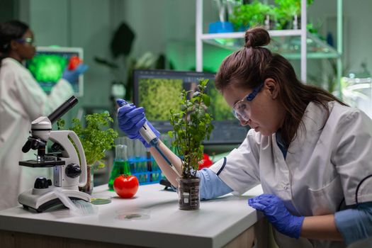 Biochemist scientific taking green liquid with micropieptte puttin on sapling