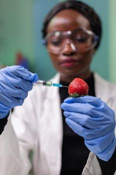 Closeup chemist scientist injecting nature strawberry with chemical pesticides