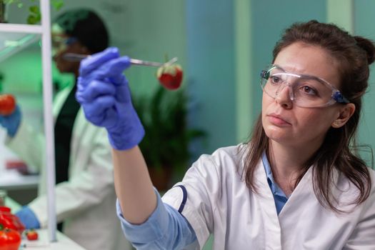 Scientist chemist checking strawberry using medical tweezers
