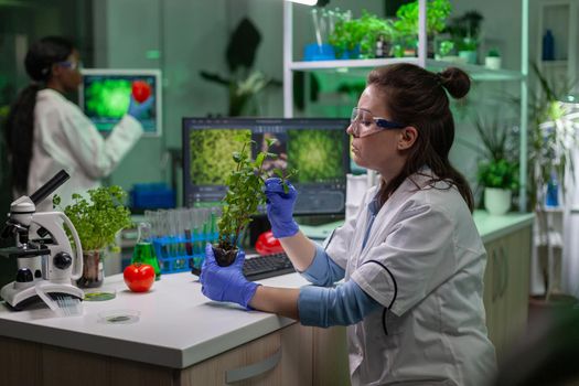 Biologist scientific doctor examining green sapling