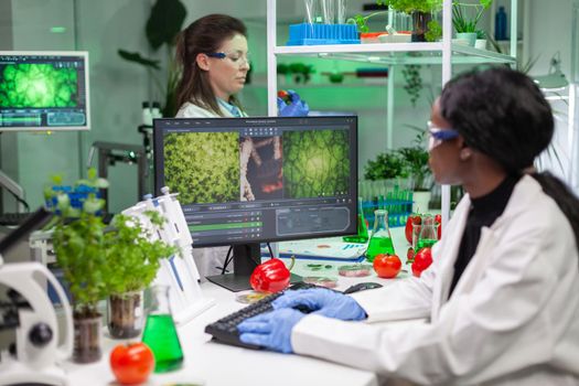 Scientist woman typing microbiology expertise on computer