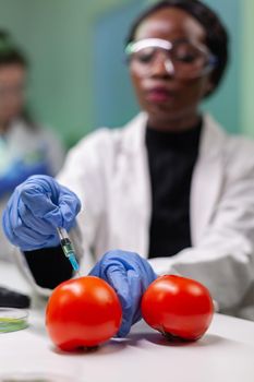 Closeup of chemist scientist injecting organic tomato with pesticides