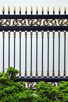 Alloys metal fence and Ornamental plants