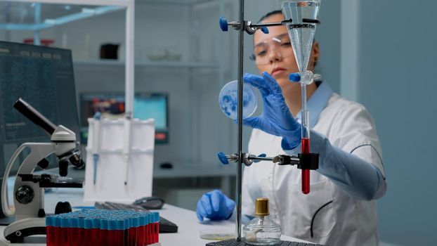 Microbiology woman studying petri dish in laboratory