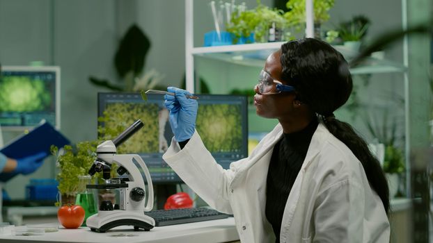 Pharmaceutical woman looking at organic leaf sample
